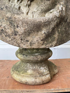 Marble Bust