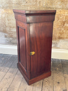 A 19th Century Pedestal Cabinet