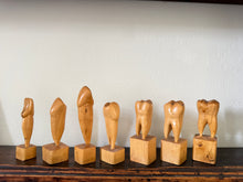 Teeth Models