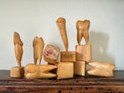 Teeth Models