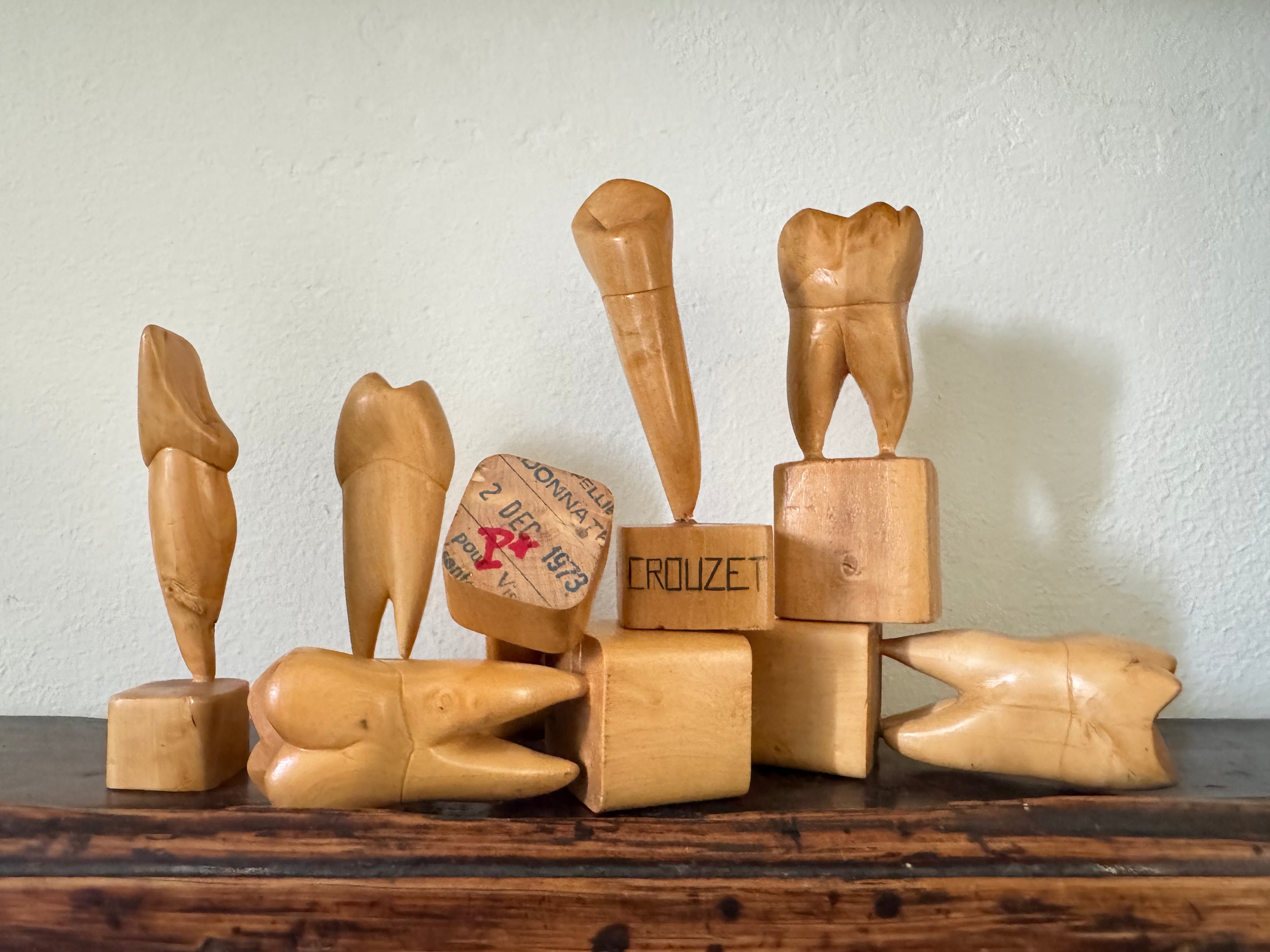 Teeth Models