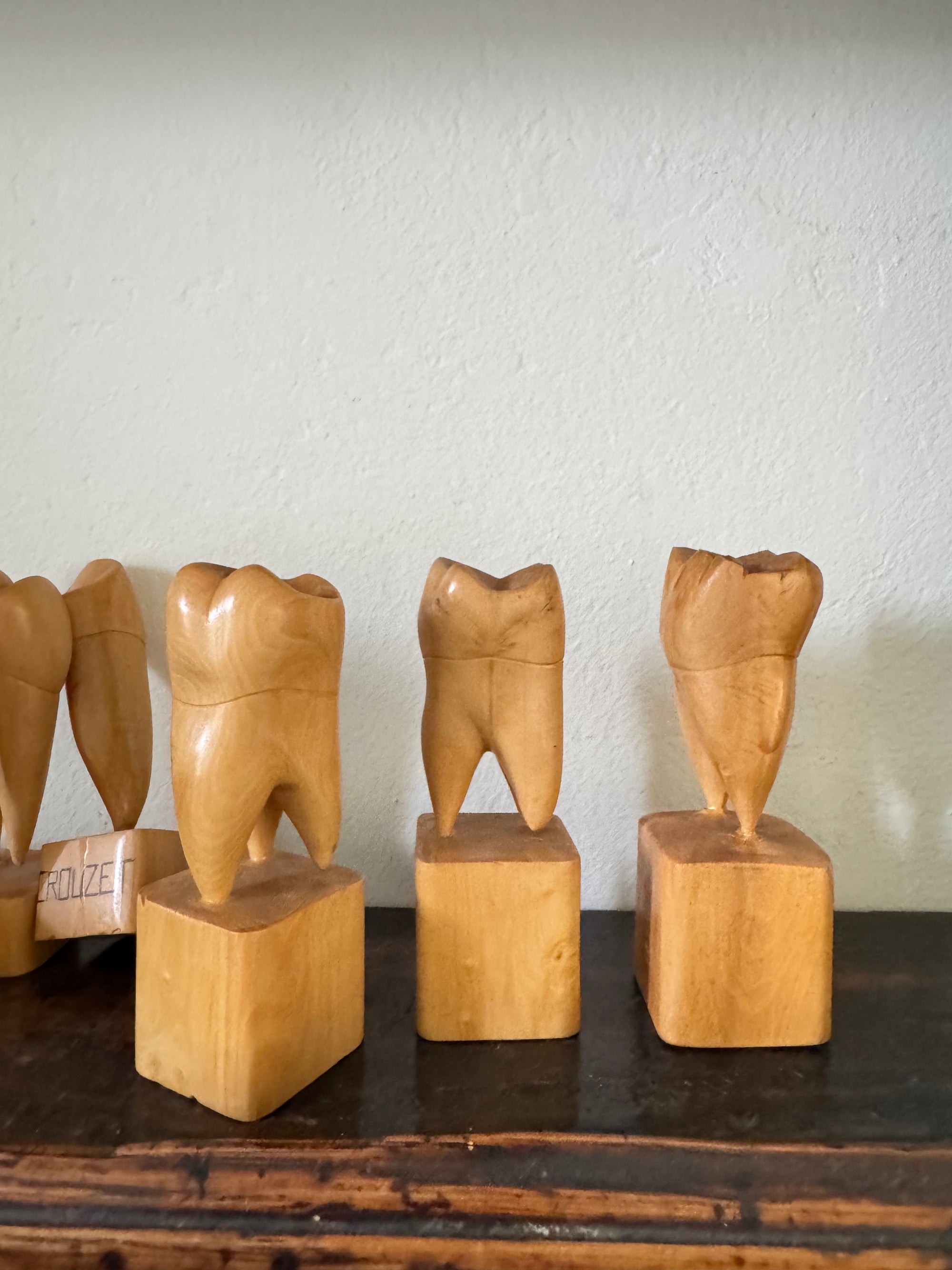 Teeth Models