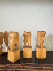 Teeth Models