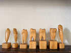 Teeth Models