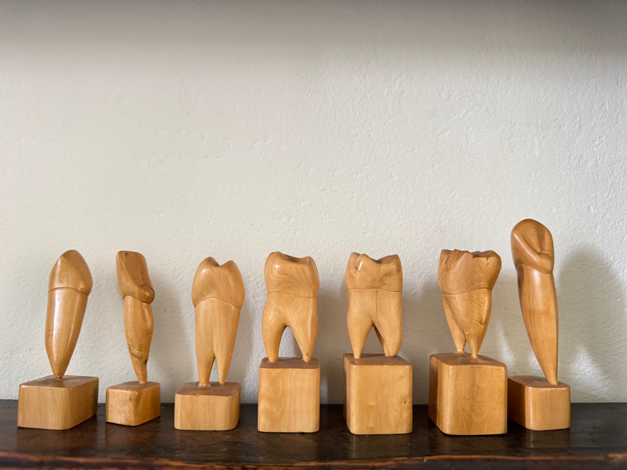 Teeth Models
