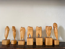 Teeth Models