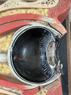 Anatomic Eye Model