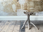 A Primitive Root Stool