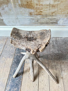 A Primitive Root Stool