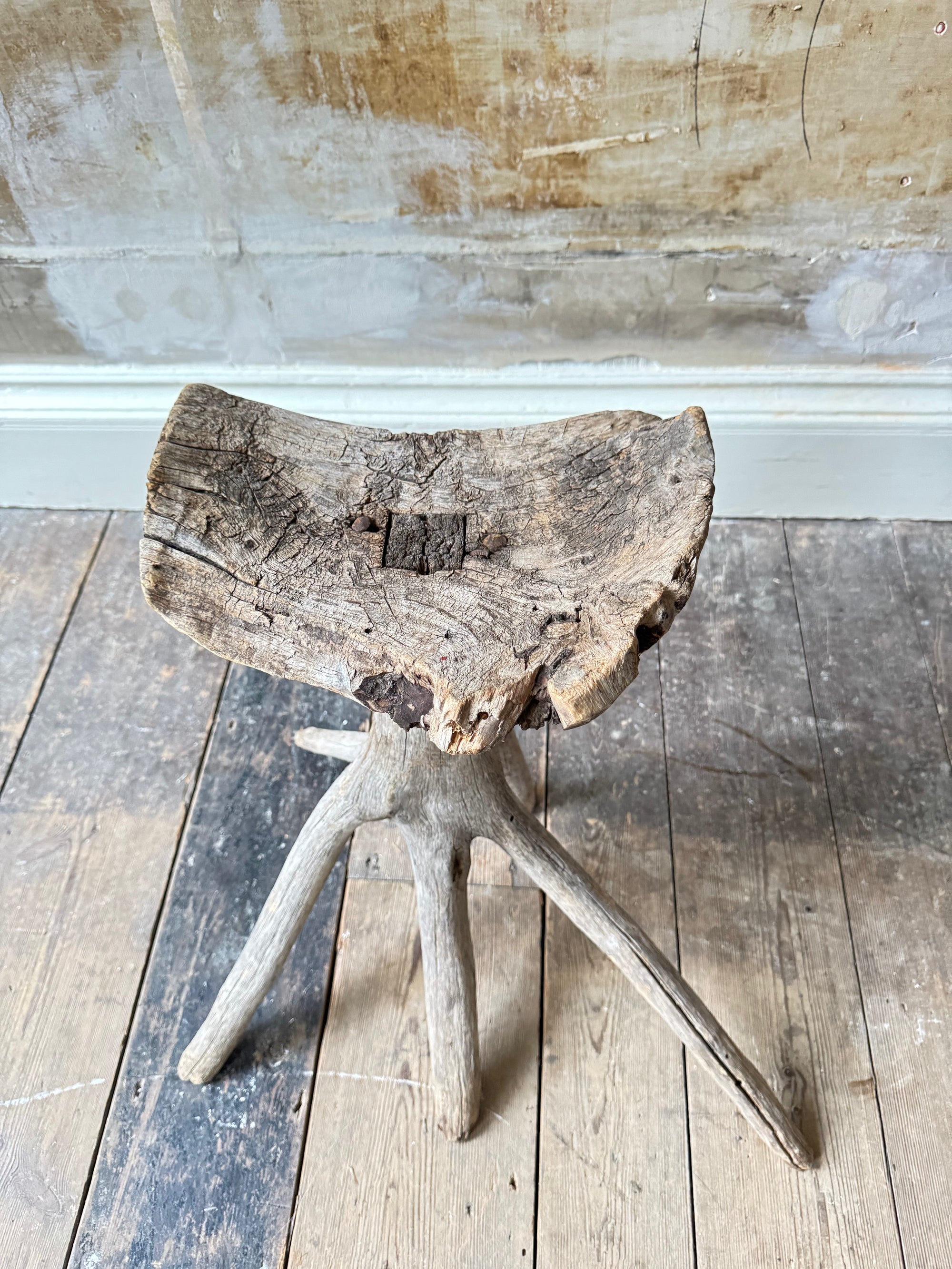 A Primitive Root Stool