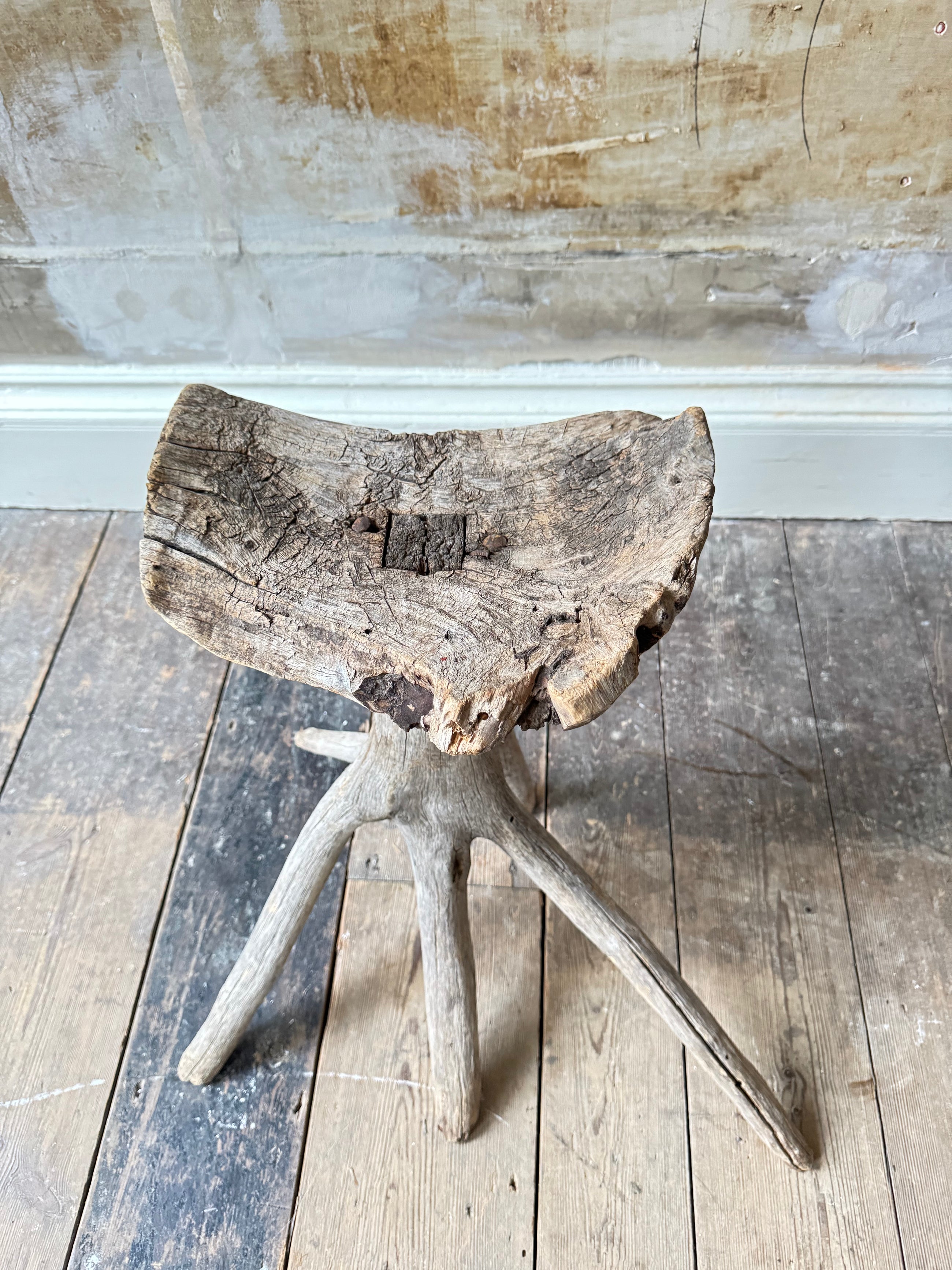 A Primitive Root Stool