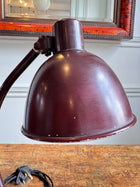 Purple Kandem 1200