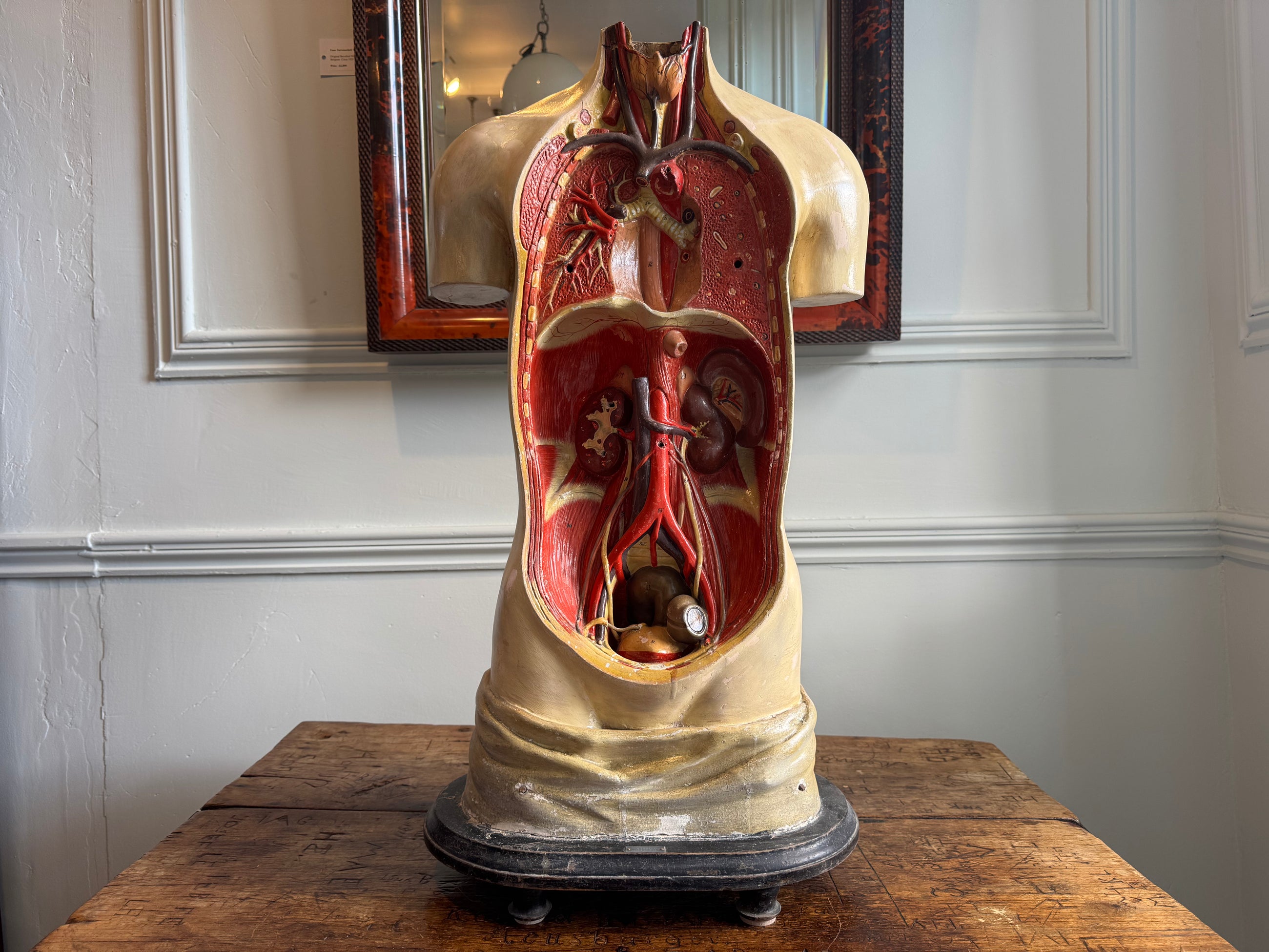 Plaster Torso