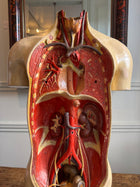 Plaster Torso