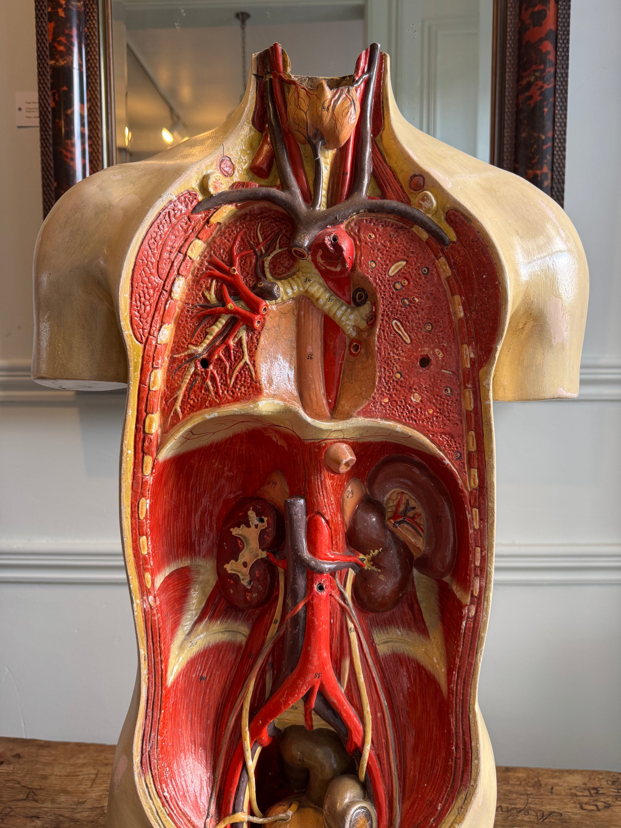 Plaster Torso