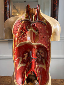 Plaster Torso
