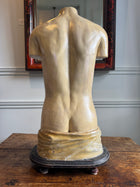Plaster Torso
