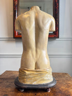 Plaster Torso