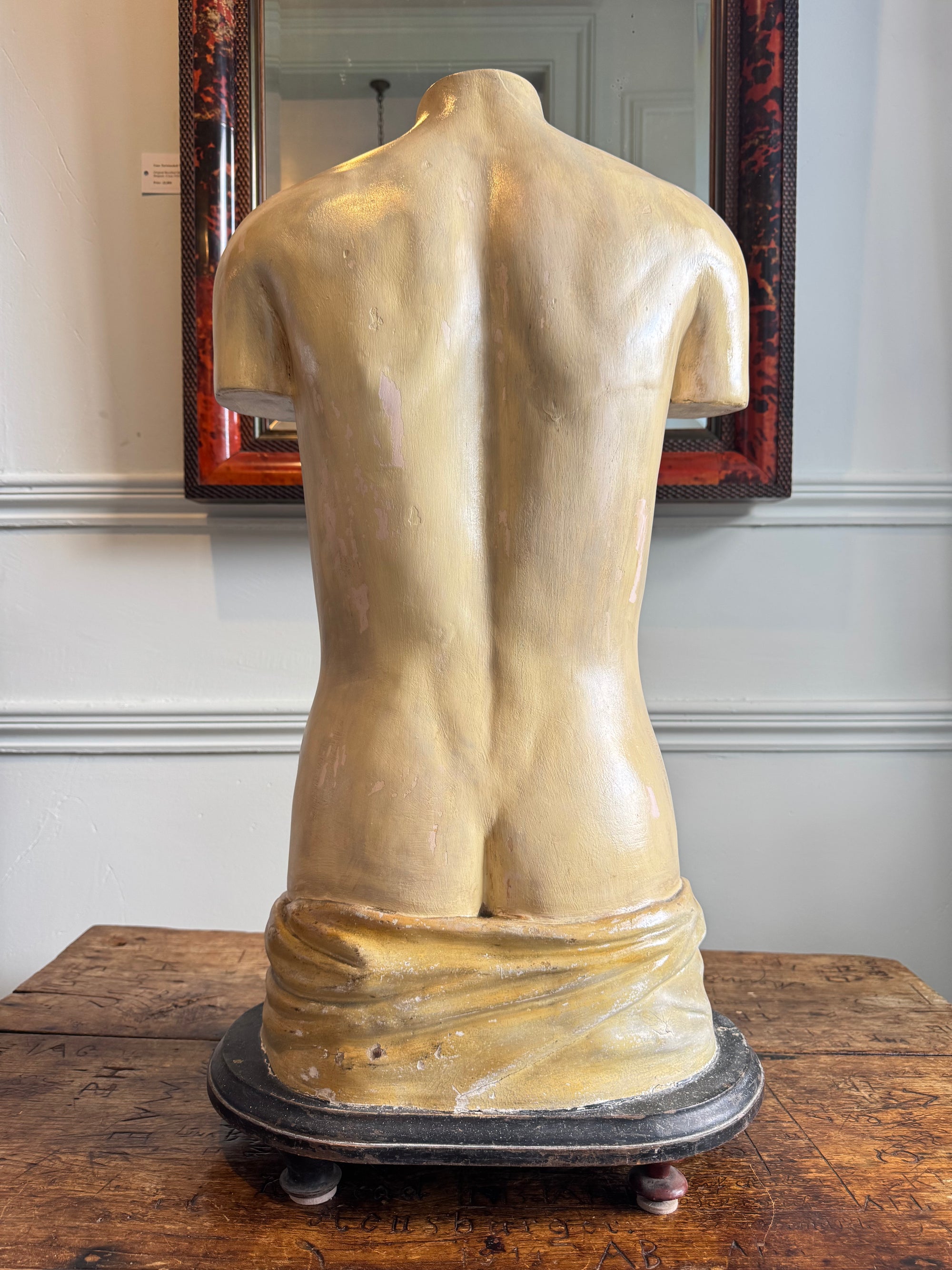 Plaster Torso