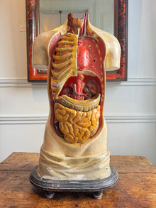 Plaster Torso