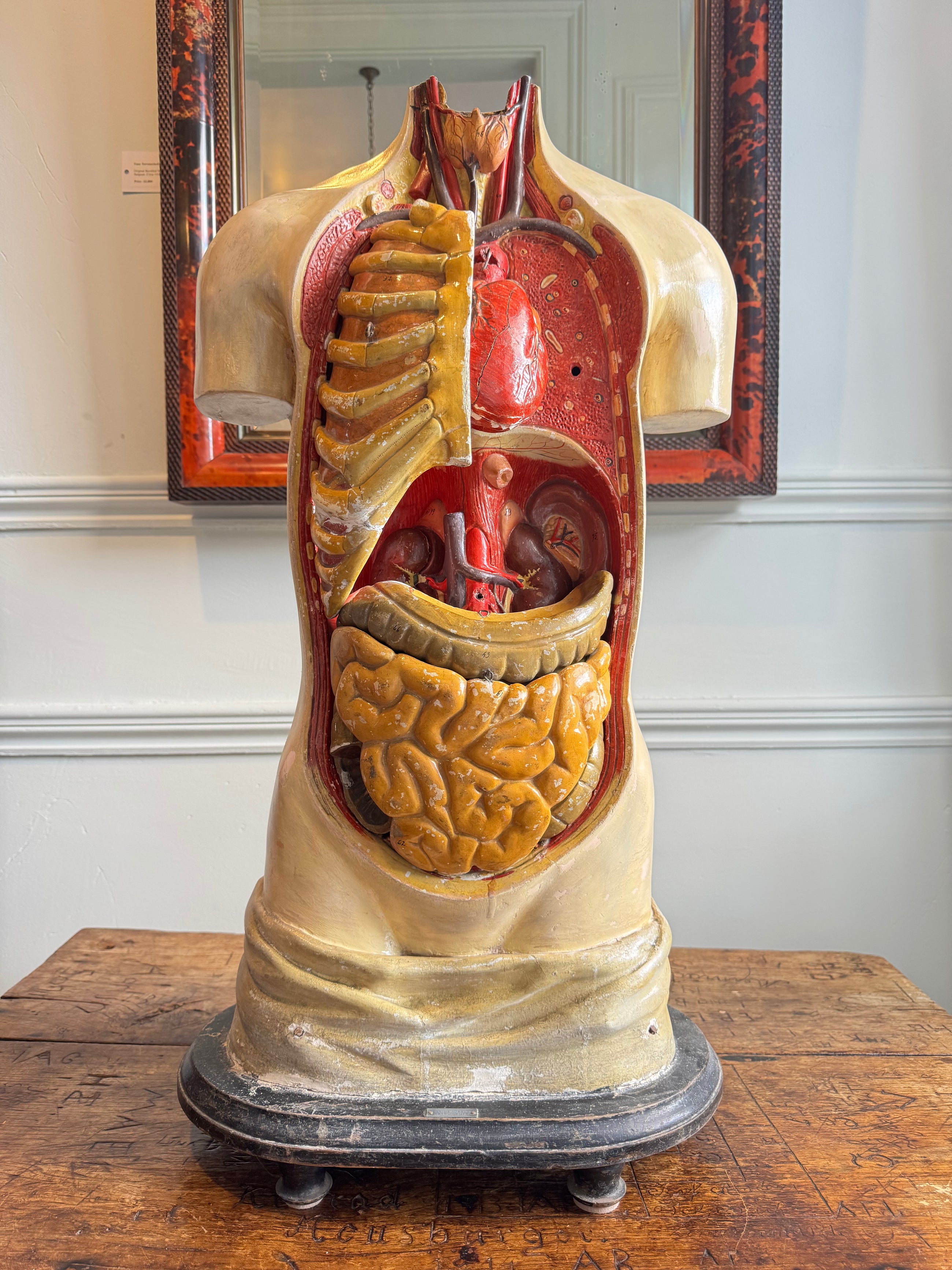 Plaster Torso