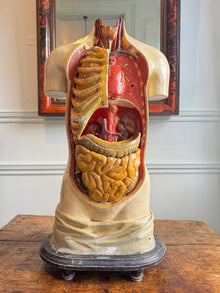 Plaster Torso