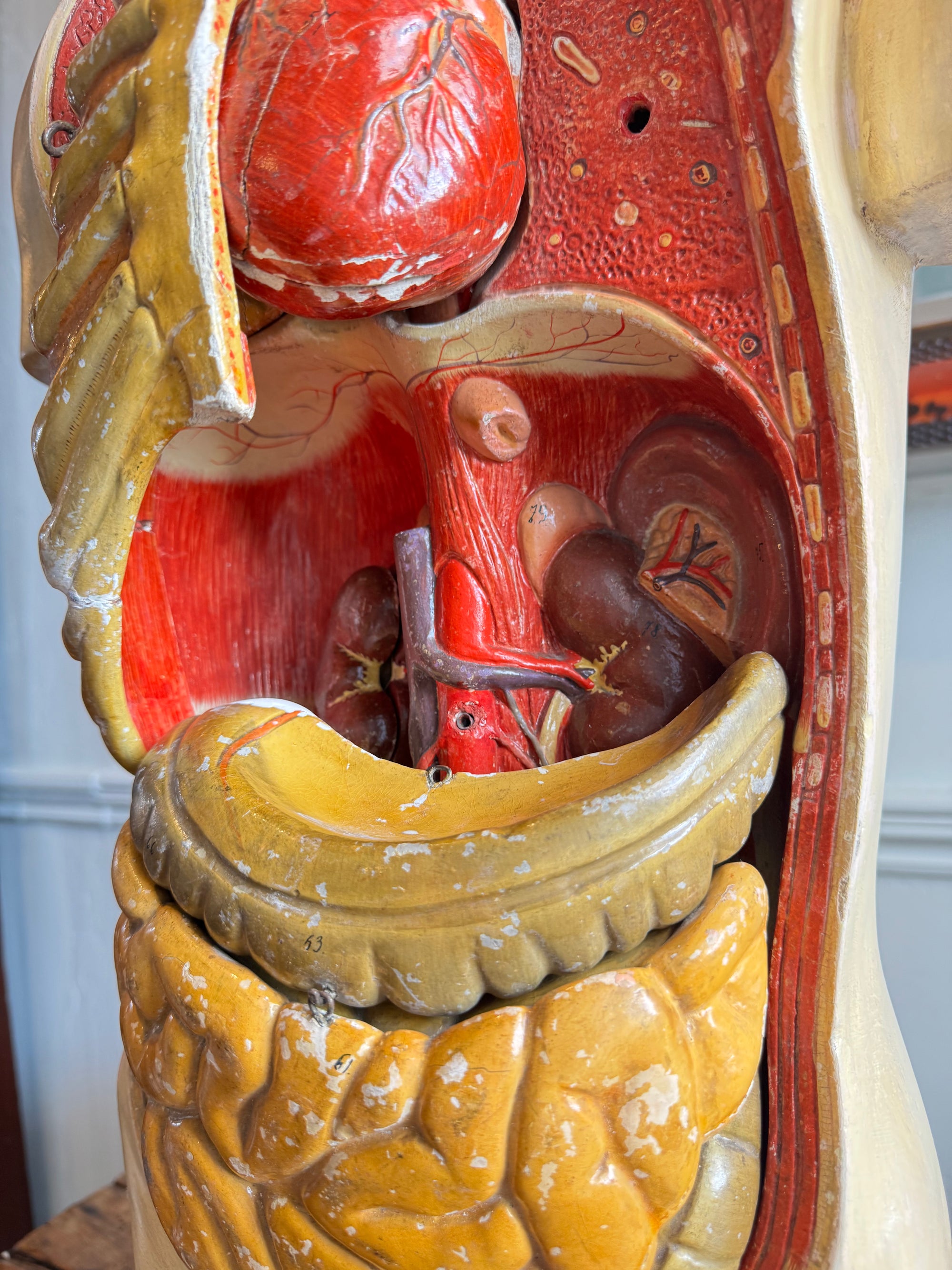 Plaster Torso