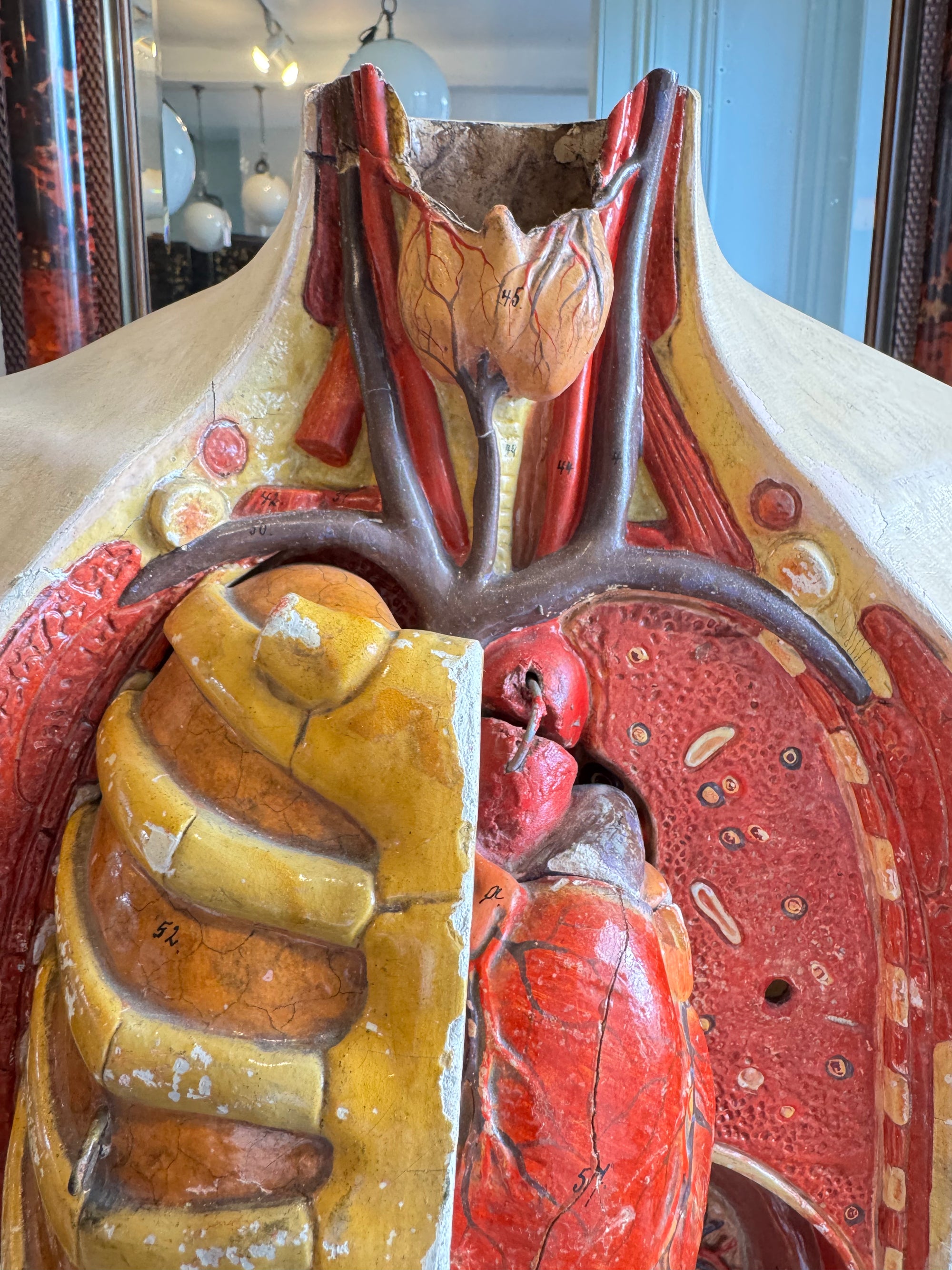 Plaster Torso