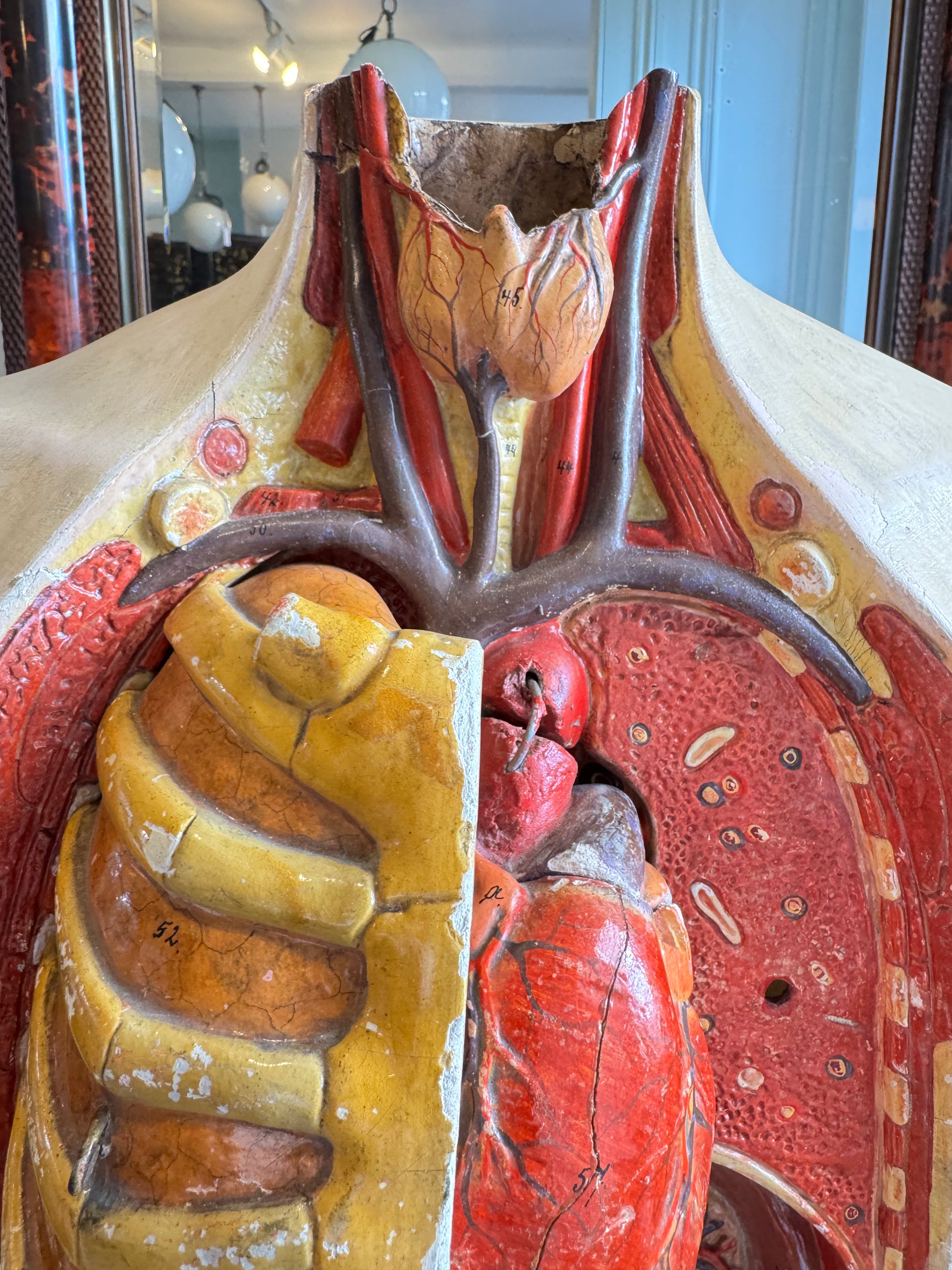 Plaster Torso