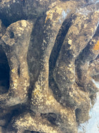 19th Century Carved Limestone Planters