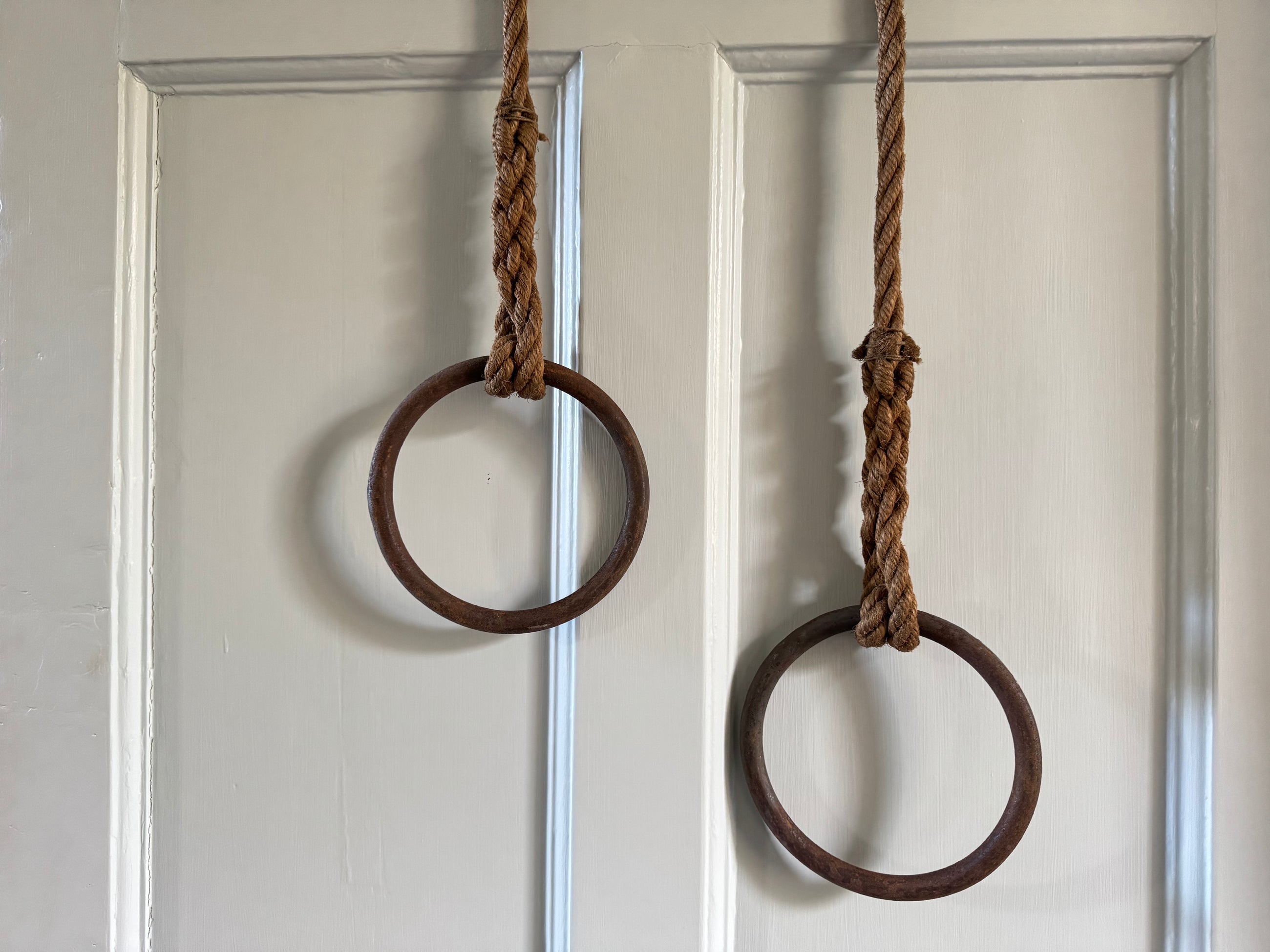 Acrobatic Rings, Swing & Ladders