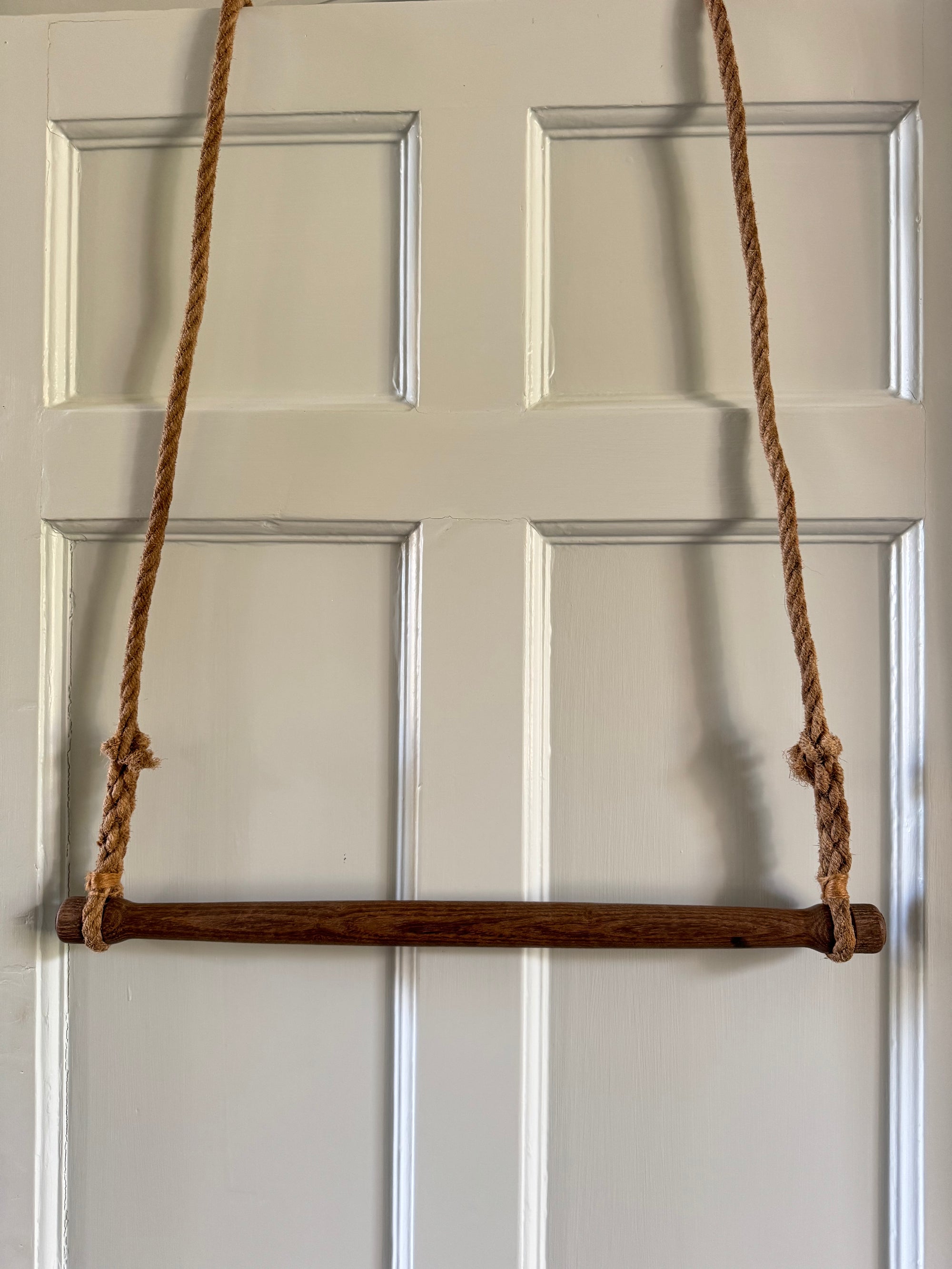 Acrobatic Rings, Swing & Ladders