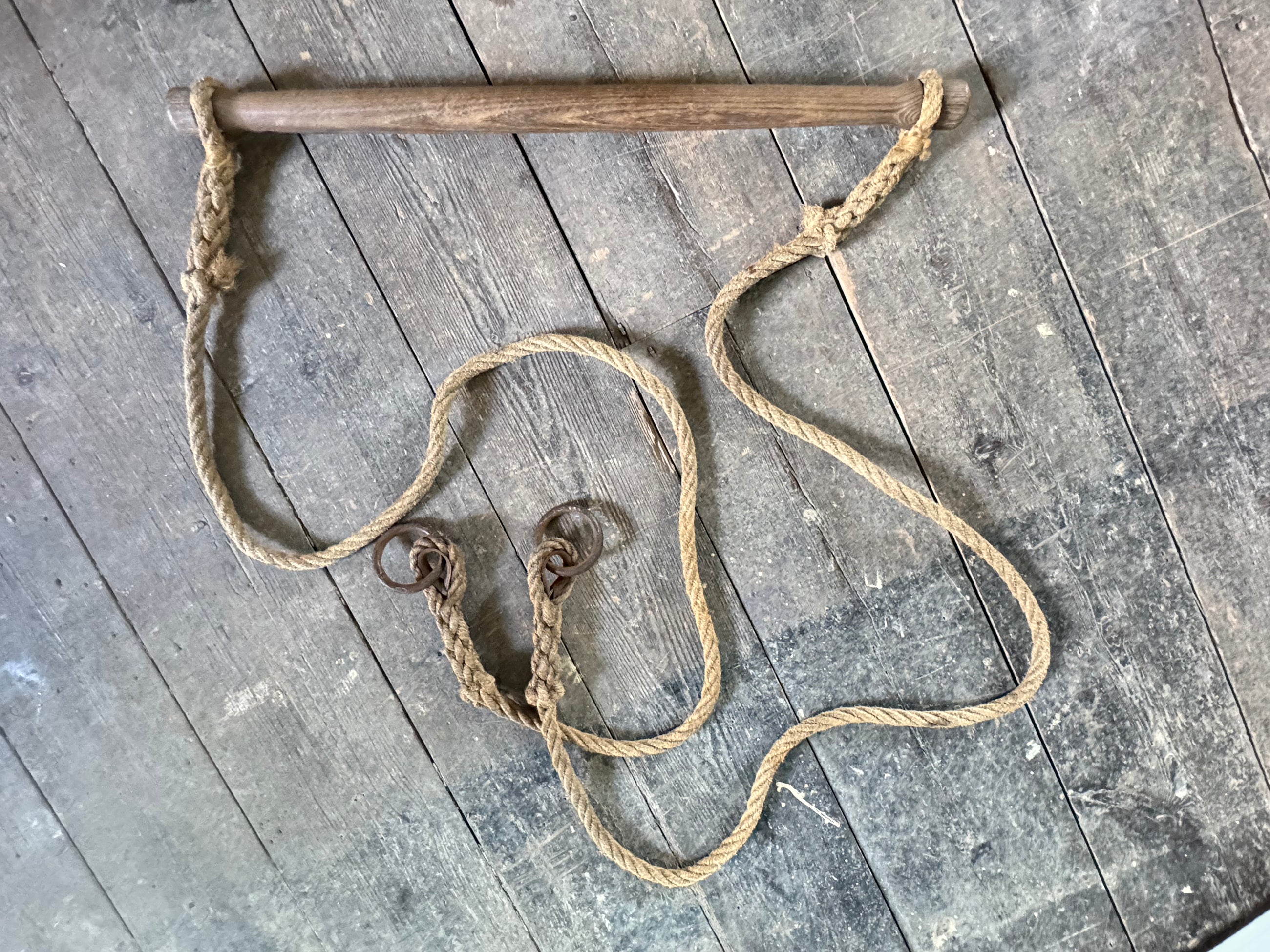Acrobatic Rings, Swing & Ladders