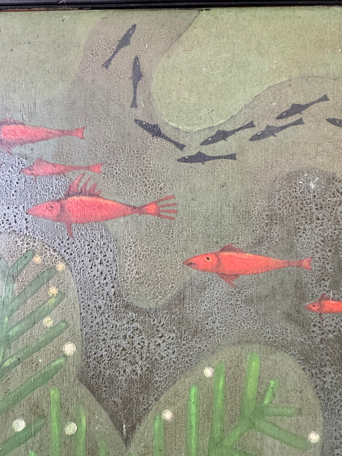 Fishes