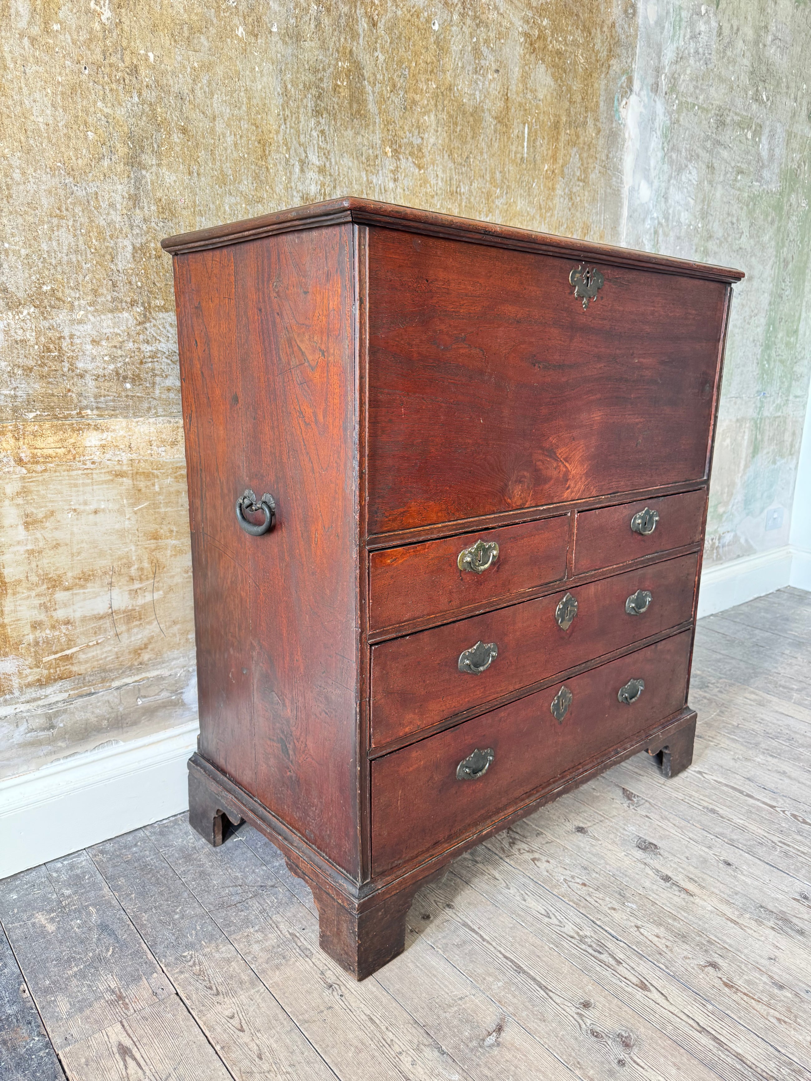 An Anglo Indian Mule Chest