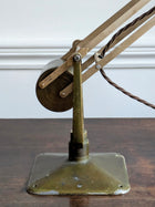 Horstmann Counterpoised Desk Lamp