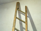19th Century Folding Library Ladders