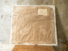 Dragon Form - Patricia Arnett