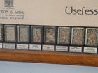 Suttons “Useful” Grasses & “Useless” Grasses Samplers