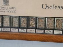 Suttons “Useful” Grasses & “Useless” Grasses Samplers