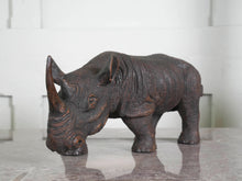 African Rhino