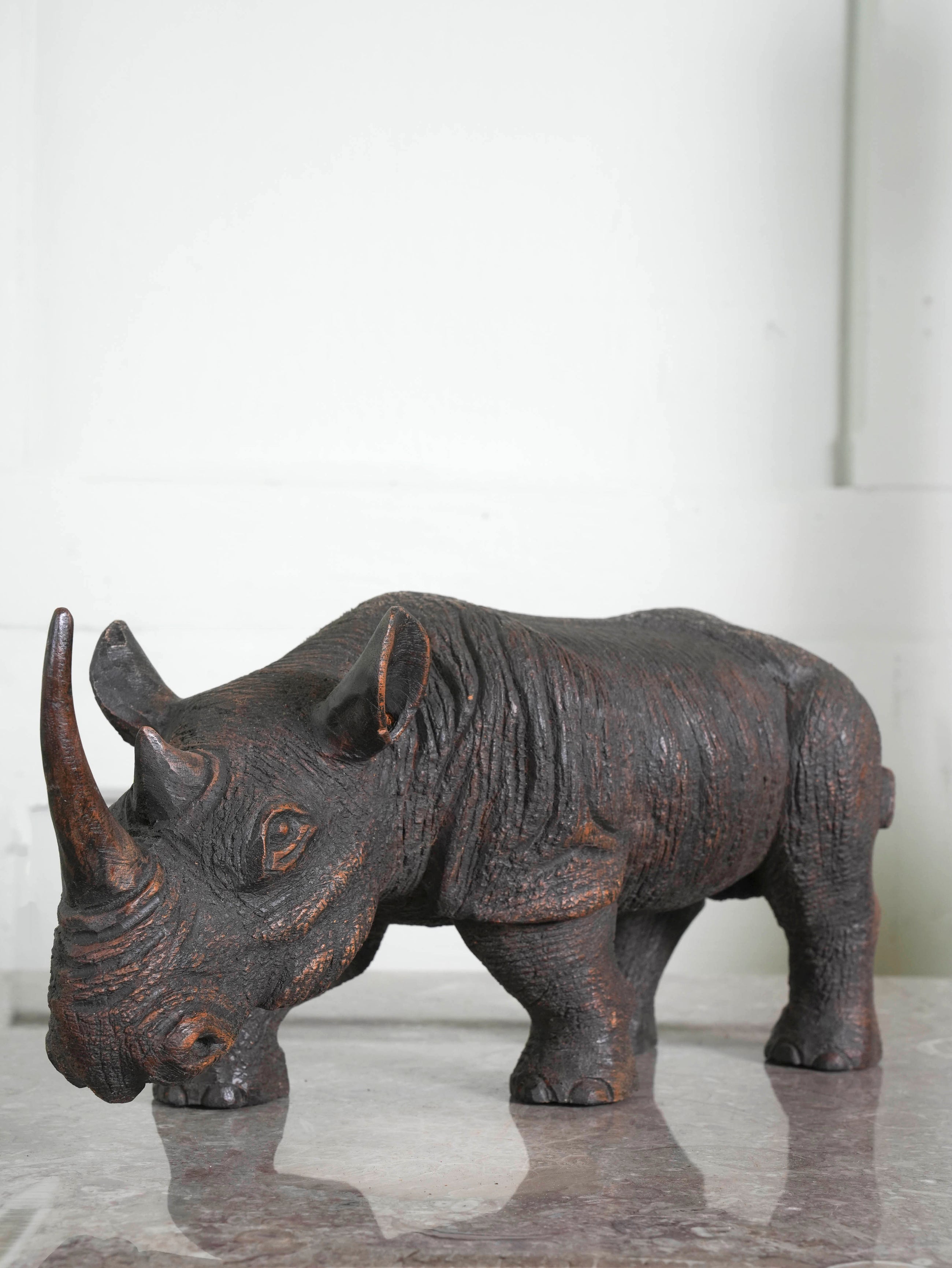 African Rhino