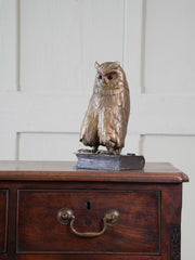 A Cold Painted Viennese Bronze Owl by Franz Bergmann