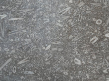 A 19thC Oak & Fossil Marble Console Table