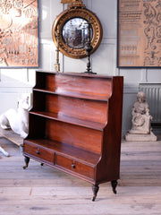A Early 19th Century Waterfall Bookcase