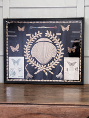 Wall Hanging Silk Moth Display Case