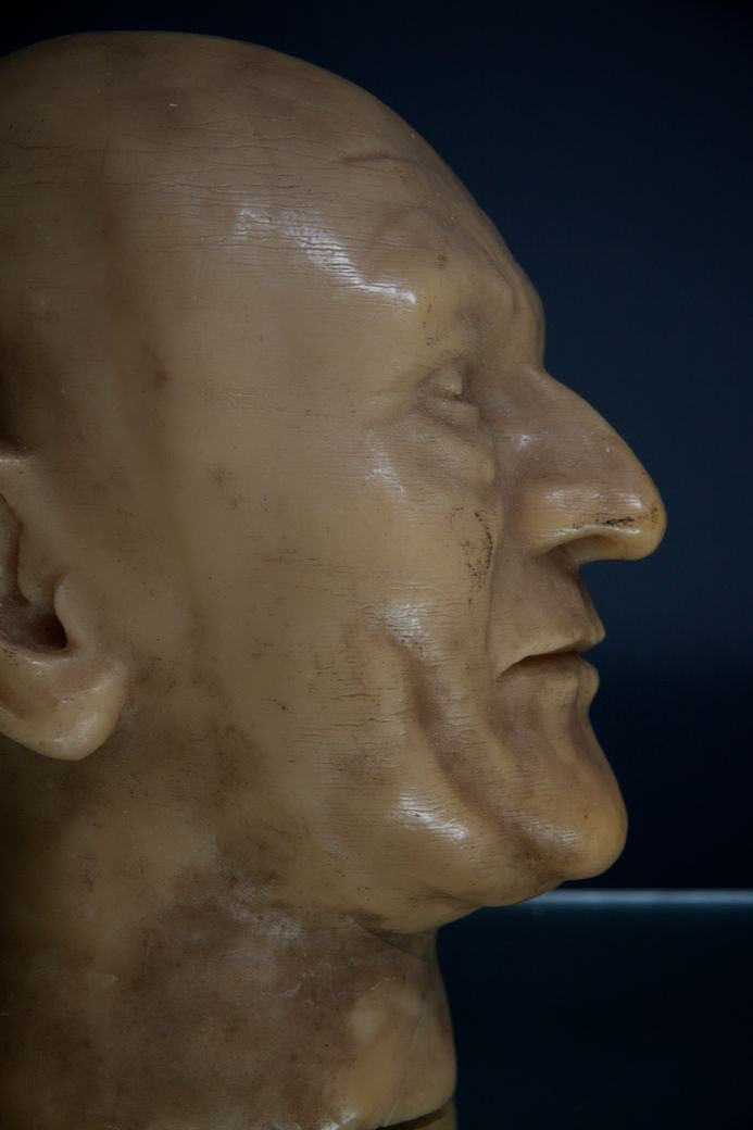 Wax Head 11 Drew Pritchard Ltd