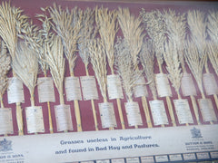 Sutton & Sons Grass & Seed Samplers