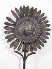 Jeckyll Sunflower