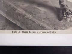 Napoli Museum Photographic Records